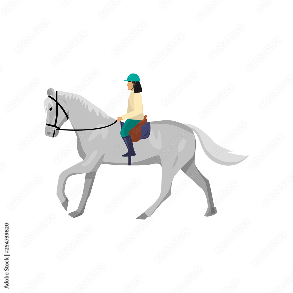 Woman and gray horse isolated on white background Woman and gray horse isolated on white background