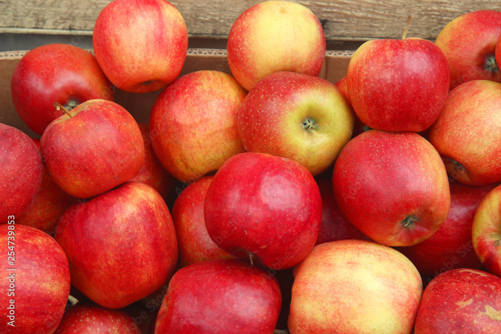 pile of red apples