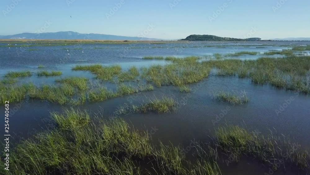 aerial drone 4K shot dolly forwards, in Bird Paradise, İzmir Province, Turkey aerial drone 4K shot dolly forwards, in Bird Paradise, İzmir Province, Turkey