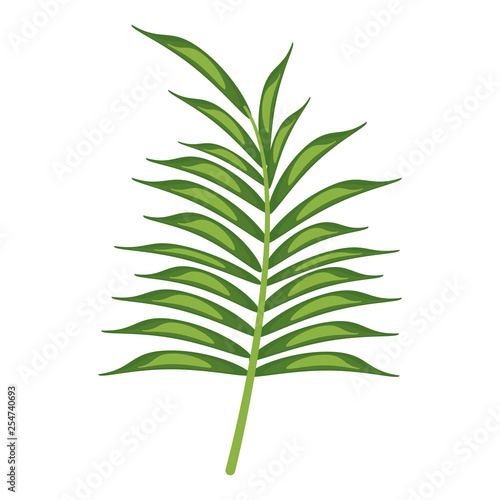 Leaf nature plant symbol