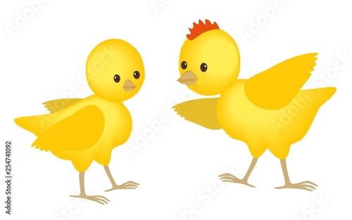 Easter fluffy chickens