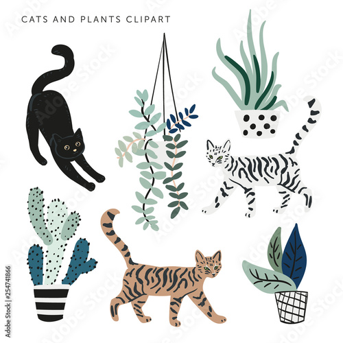 Cute cats and house plants on the white background. Vector clipart. Pets and green florals in the pots. Nature elements. Digital illustration with animals