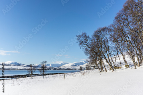 norwegischer Fjord im Winter © luili