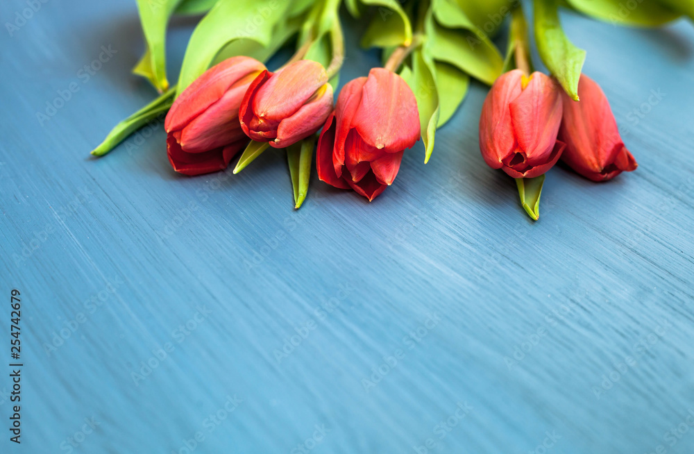 Red tulips on blue wooden background, with copy space Red tulips on blue wooden background, with copy space