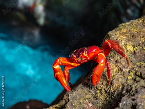Christmas Island