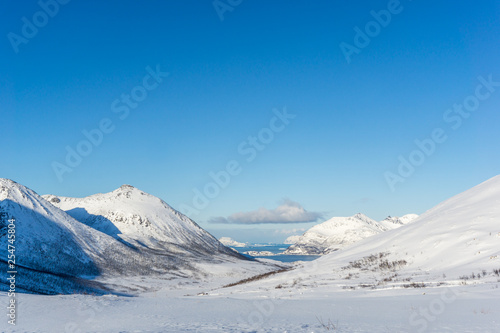 eingescheiter norwegischer Fjord im Winter