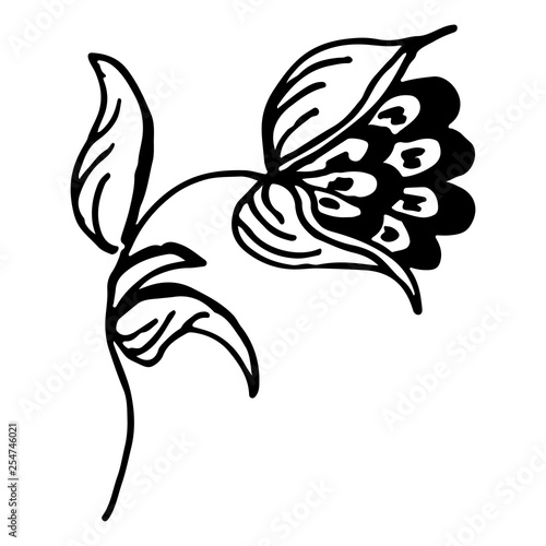 Engraved Vector Hand Drawn Illustrations Of Abstract Rose Flower Isolated on White. Hand Drawn Sketch of a Flower