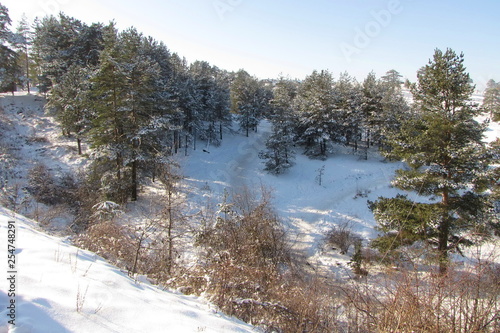Landscape of Zlatibor Mountain in Winter  Serbia
