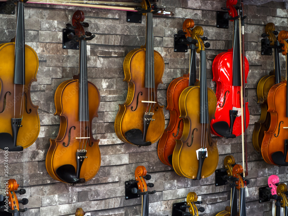 Fototapeta violins standing on the wall in a music store. many wooden violins
