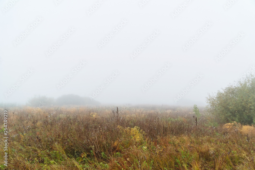 Autumn fog over a meadow. Autumn landscape Autumn fog over a meadow. Autumn landscape
