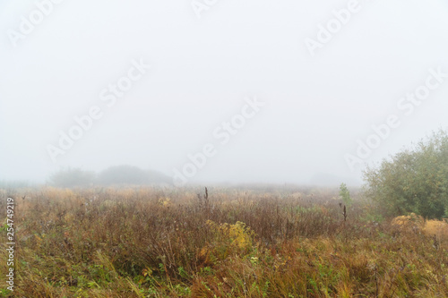 Autumn fog over a meadow. Autumn landscape