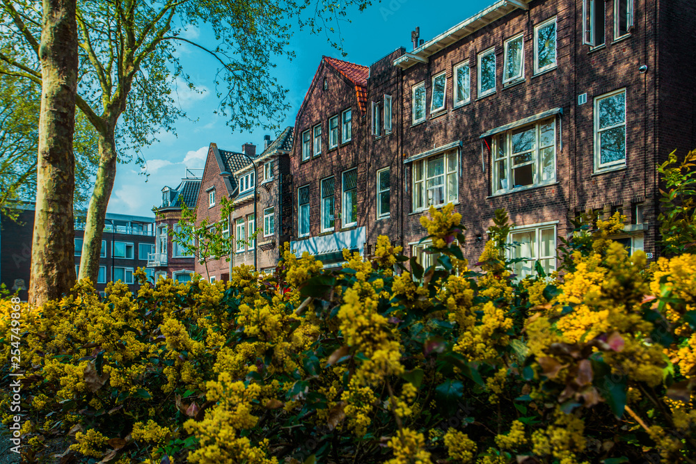 Dordrecht, Netherlands - April 22, 2018: Dordrecht street in the spring sun, Netherlands