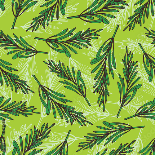 Rosmarinus background