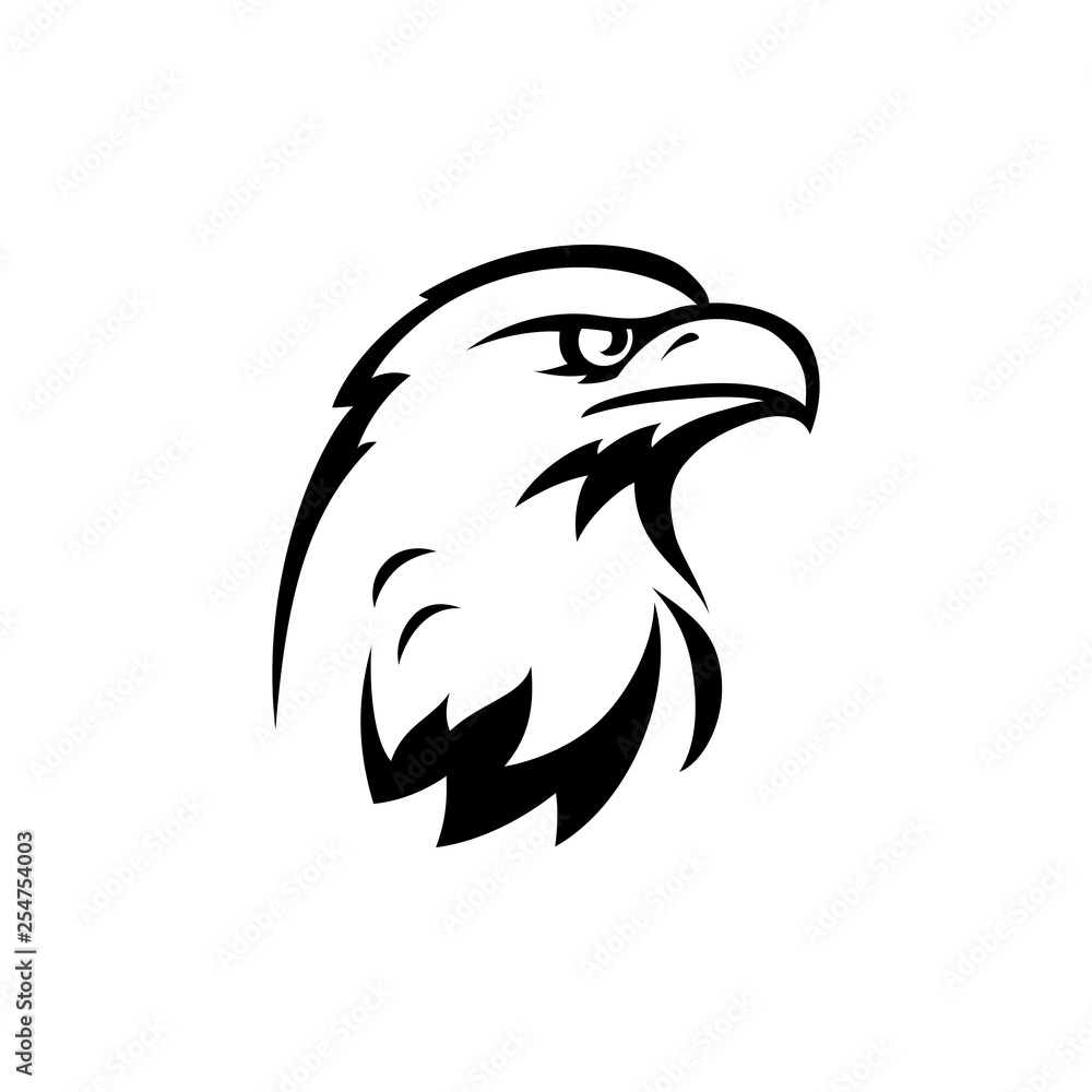 Fototapeta premium bird of prey yastreb