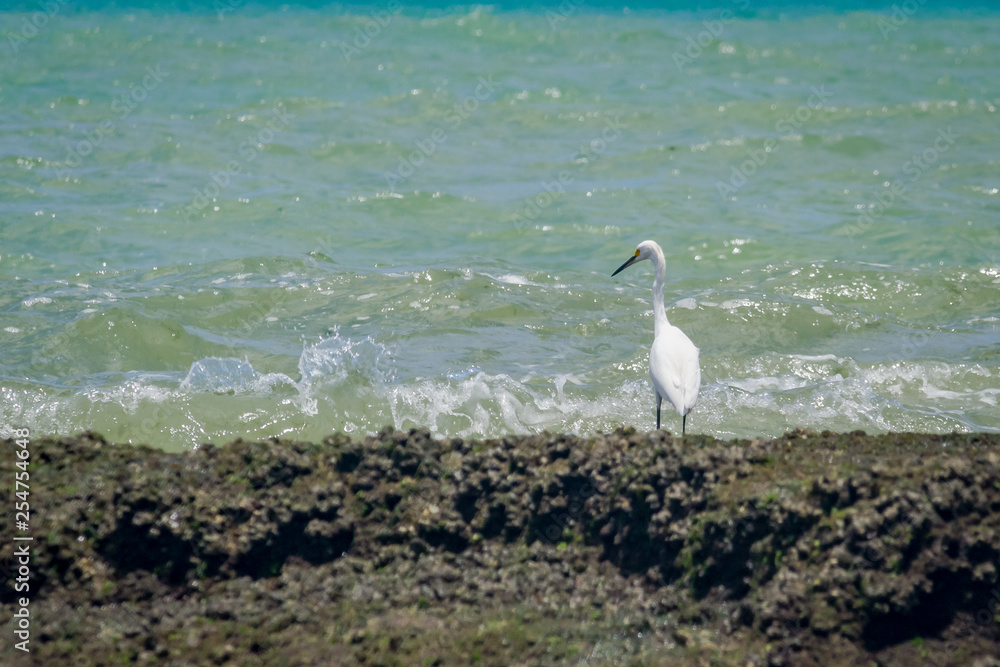 Cities of Brazil - Recife, Pernambuco state's capital - Boa Viagem Beach Cities of Brazil - Recife, Pernambuco state's capital - Boa Viagem Beach