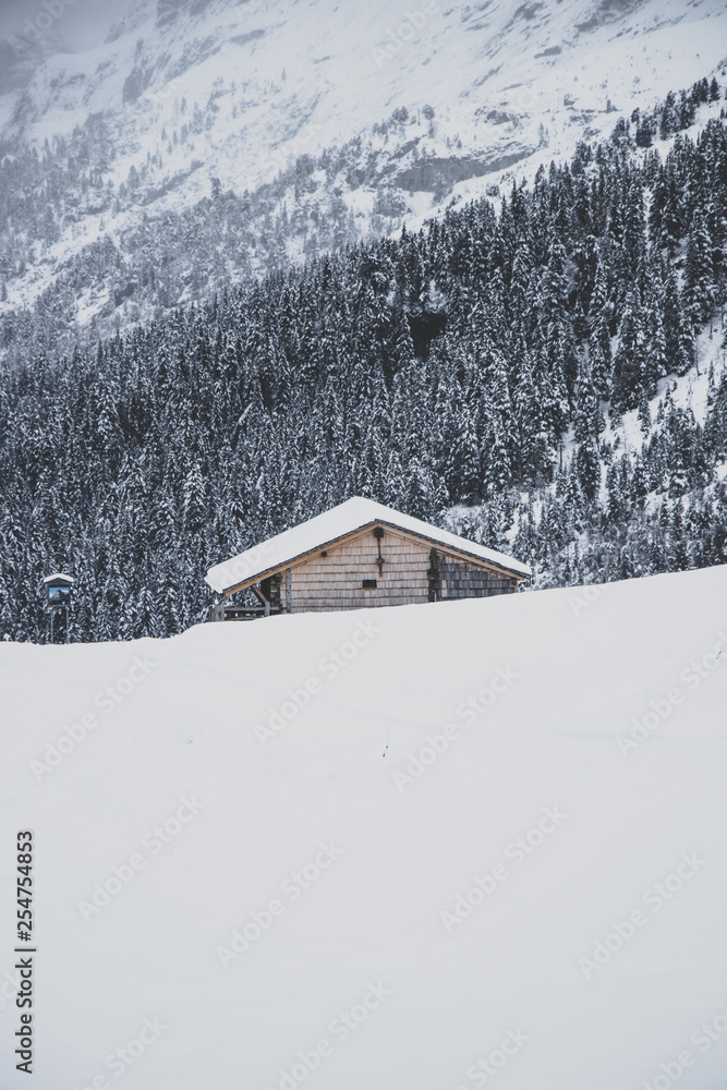 alpine hut in winter