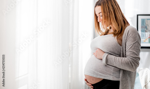 Beautiful pregnant woman touching her belly standing by the window at home Free Download Beautiful pregnant woman touching her belly standing by the window at home - GFXLoad