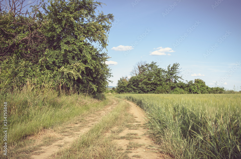 countryside in spring time countryside in spring time