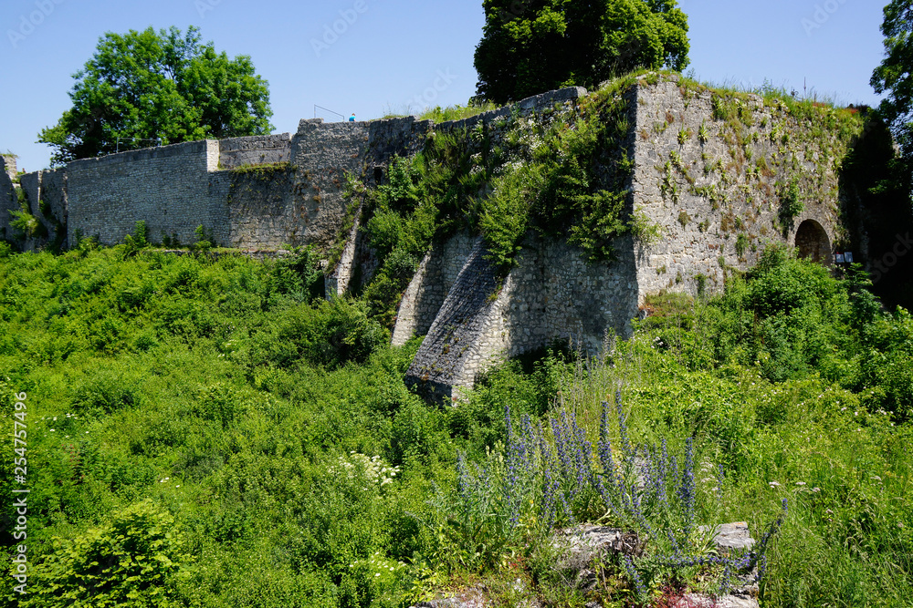 castle ruin hohenurach wilderness