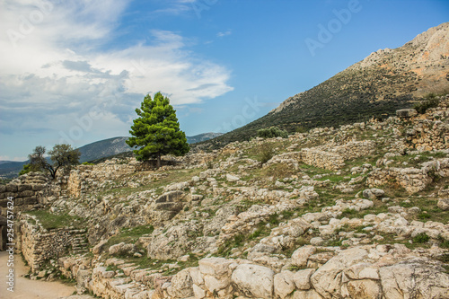 archeological site stone city ruins from ancient Greece time in highland rocky natural country side environment with lonely tree on rock © Артём Князь