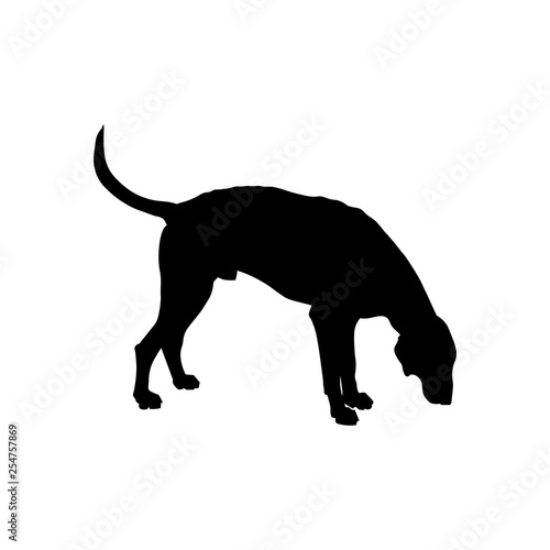 Hunting dog vector