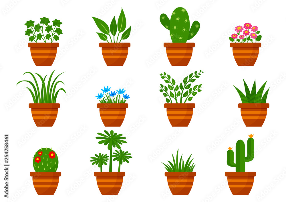 Set of houseplants in pots, indoor flowers. Vector illustration Set of houseplants in pots, indoor flowers. Vector illustration