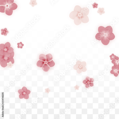 Vector Realistic Pink Flowers Falling on Transparent Background.  Spring Romantic Flowers Illustration. Flying Petals. Sakura Spa Design. Blossom Confetti. Design Elements for Wedding Decoration. © Feliche _Vero