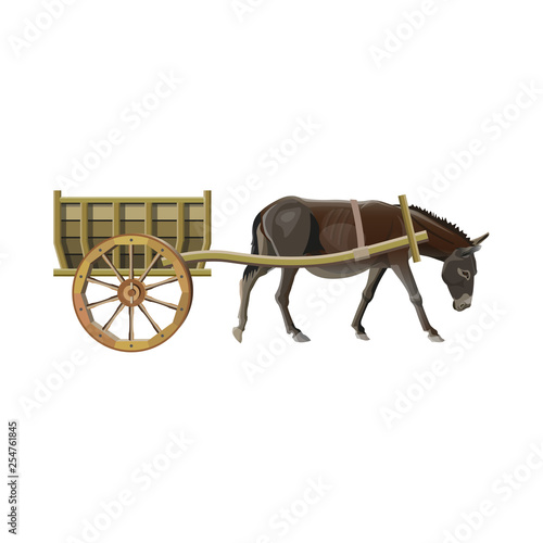 Donkey cart vector