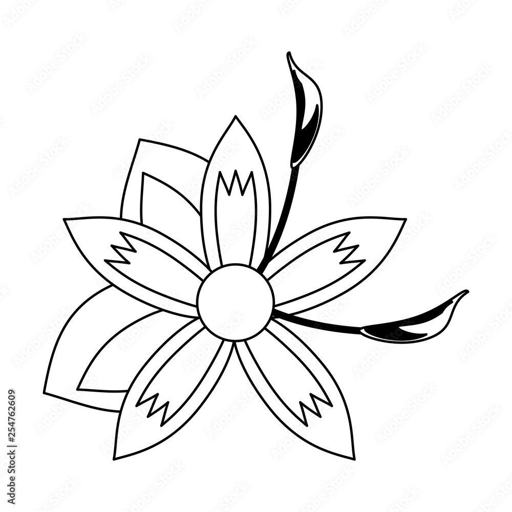 Beautiful flower cartoom isolated in black and white Beautiful flower cartoom isolated in black and white