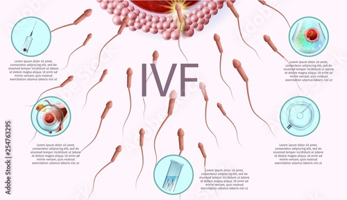 Human Reproductive Medicine Banner with Copy Space