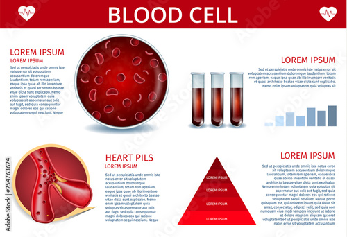 Blood Cell Infographic Banner with Copy Space