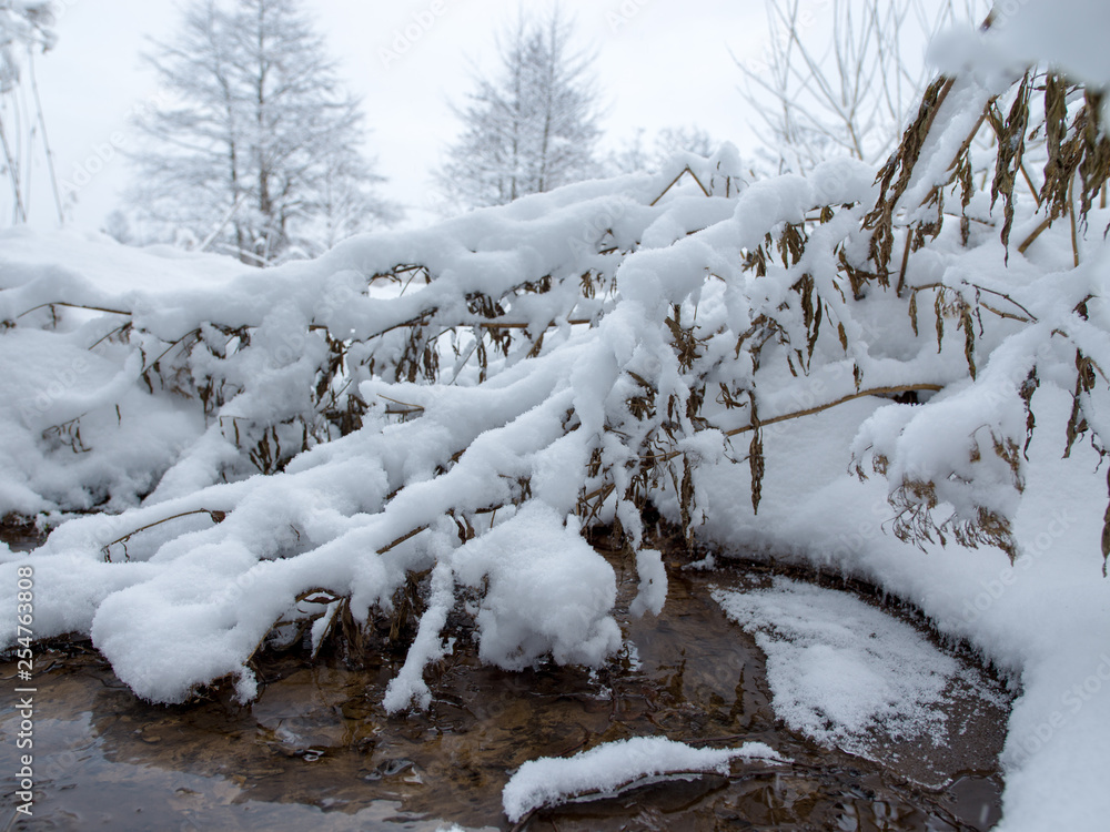 River in winter