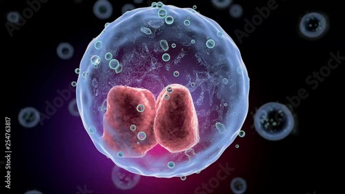 Cells under a microscope Cell division Cellular Therapy