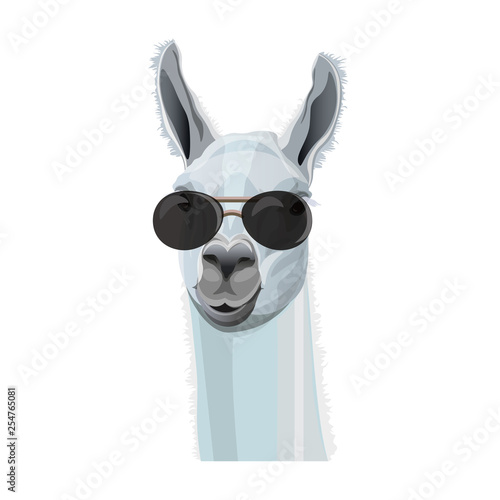 Portrait of llama in glasses