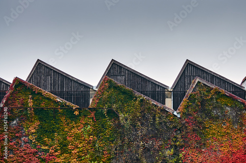 Medium shot on an old fashioned factory's sawtooth roof with autumn colorful leaves around