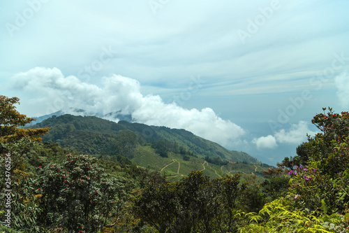 Sri Lanka Highlands landscape forest Green mountains in the fog