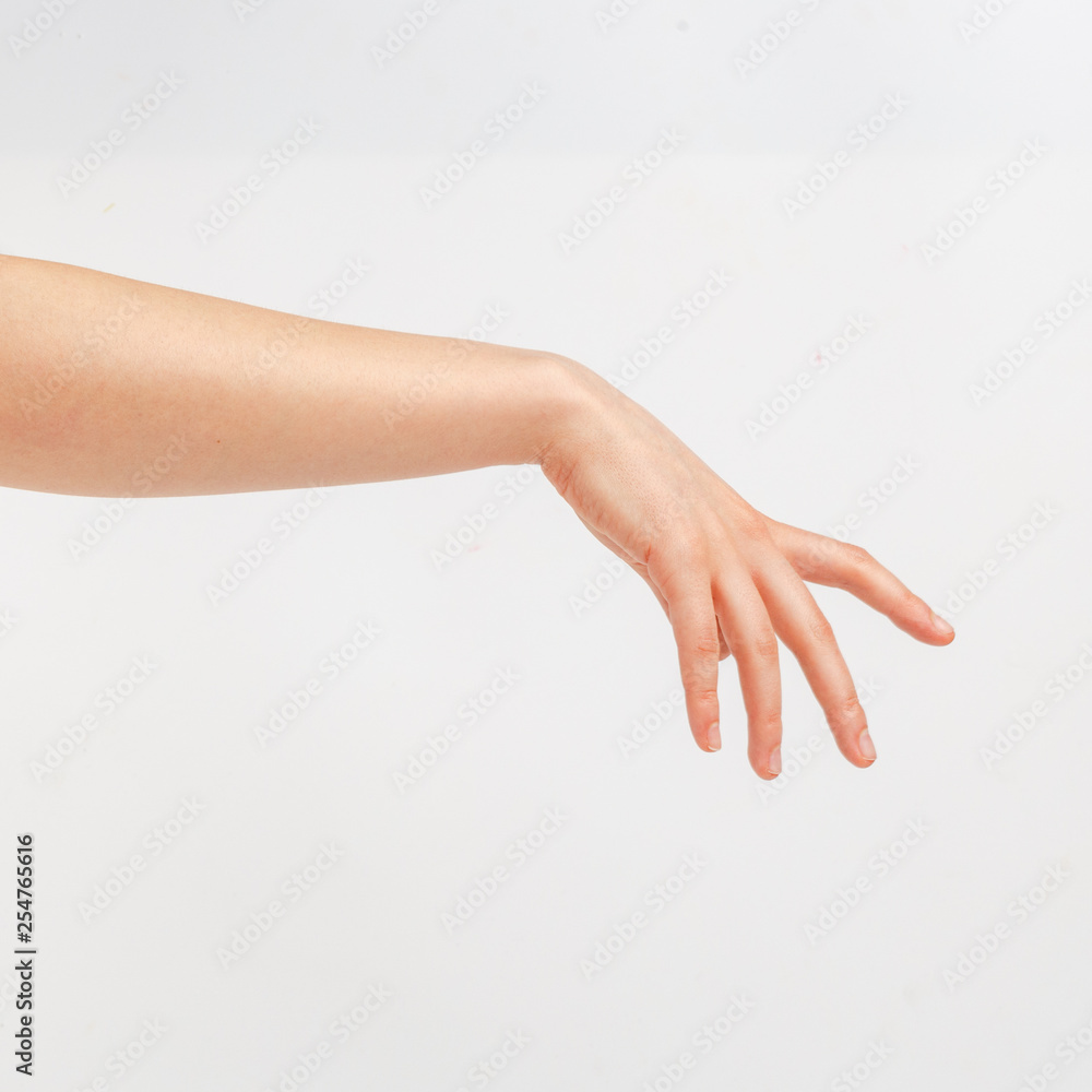 Female hand on a white background in various positions. Female hand on a white background in various positions.
