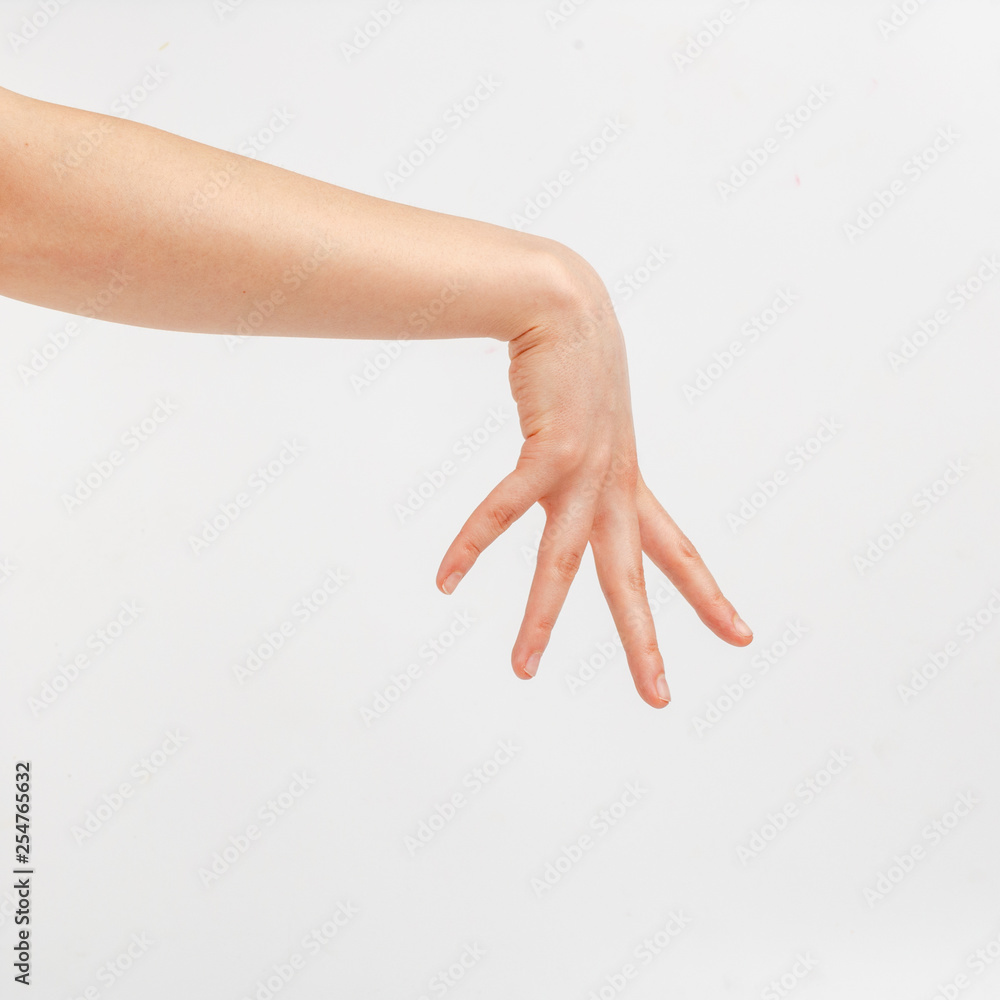 Female hand on a white background in various positions.