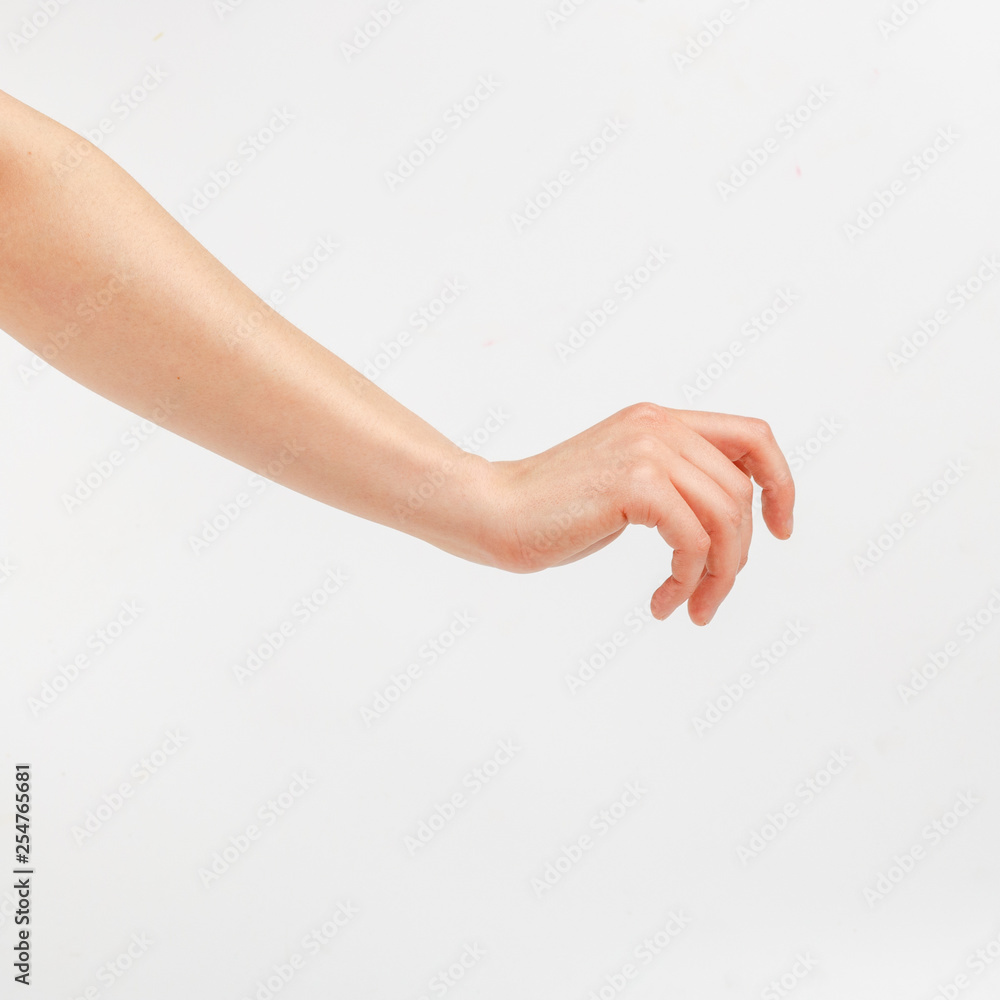 Female hand on a white background in various positions. Female hand on a white background in various positions.