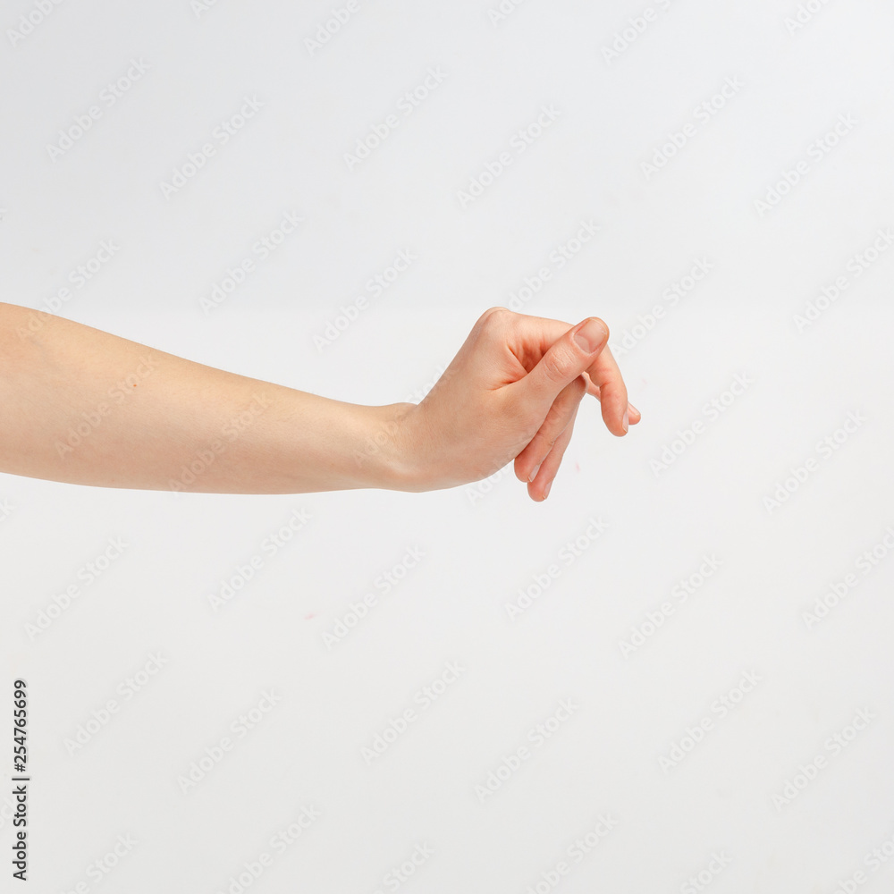 Female hand on a white background in various positions. Female hand on a white background in various positions.
