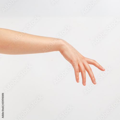 Female hand on a white background in various positions.