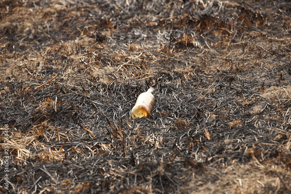 Obraz premium An empty glass charred bottle is lying on grass that has been baked out. Ecological catastrophy. Spring tan green cover. Danger of fire. The destruction of life and pollution. Problems of civilization
