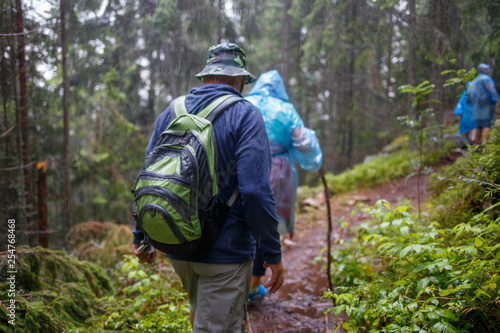 Group of senior tourists hiking in rainy forest