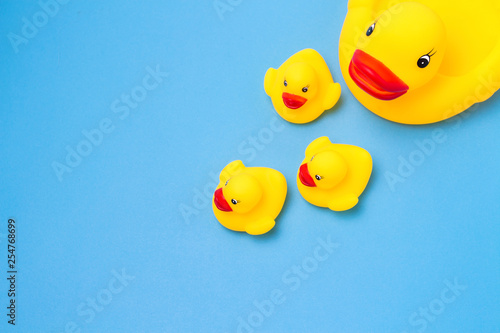 Rubber toy of yellow color Mama-duck and small ducklings on a blue background. The concept of maternal care and love for children, the upbringing and education of children. Flat lay, top view