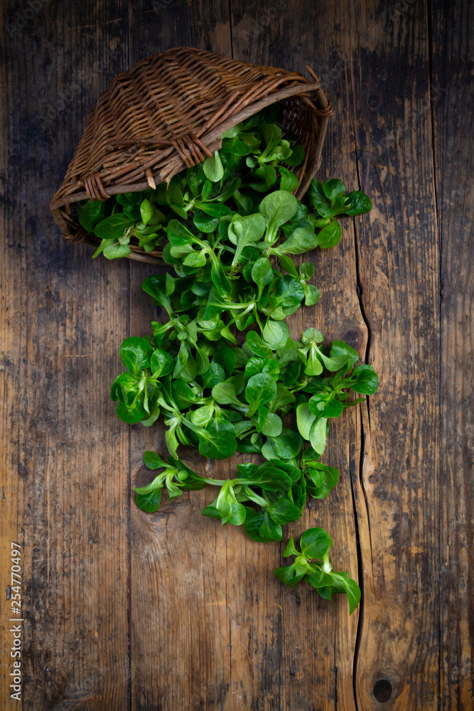 Overhead view of lamb's lettuce in wicker basket Overhead view of lamb's lettuce in wicker basket