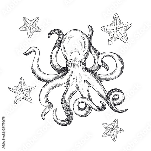 Octopus and starfish. Vector illustration of sketch octopus hand drawn, vintage. Kraken Tattoo or print for t-shirt, poster or logo. 