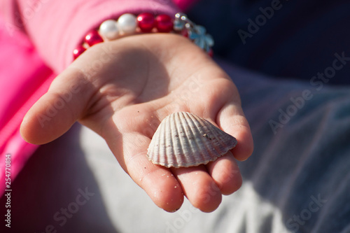 Shell in a child hand. © Victoria
