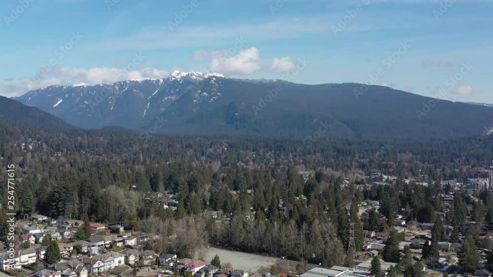 Houses in suburb at Summer in the north America. Luxury houses with nice landscape. Aerial drone view. 4K. Houses in suburb at Summer in the north America. Luxury houses with nice landscape. Aerial drone view. 4K.