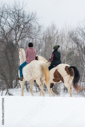 two girls riding horses bareback in winter on a snow covered field © DebraAnderson