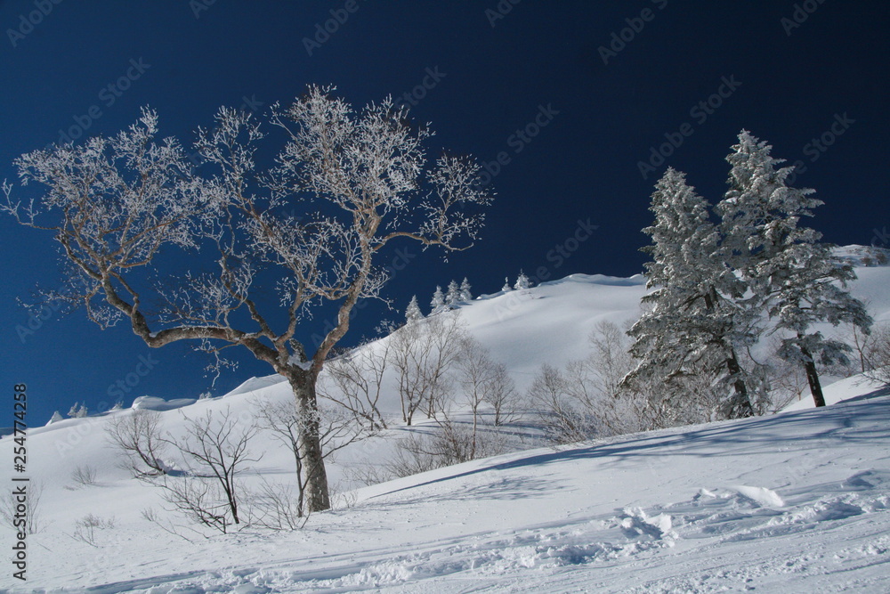 青と白の世界 透明感 空気感のある雪山の風景 青と白の世界 透明感 空気感のある雪山の風景
